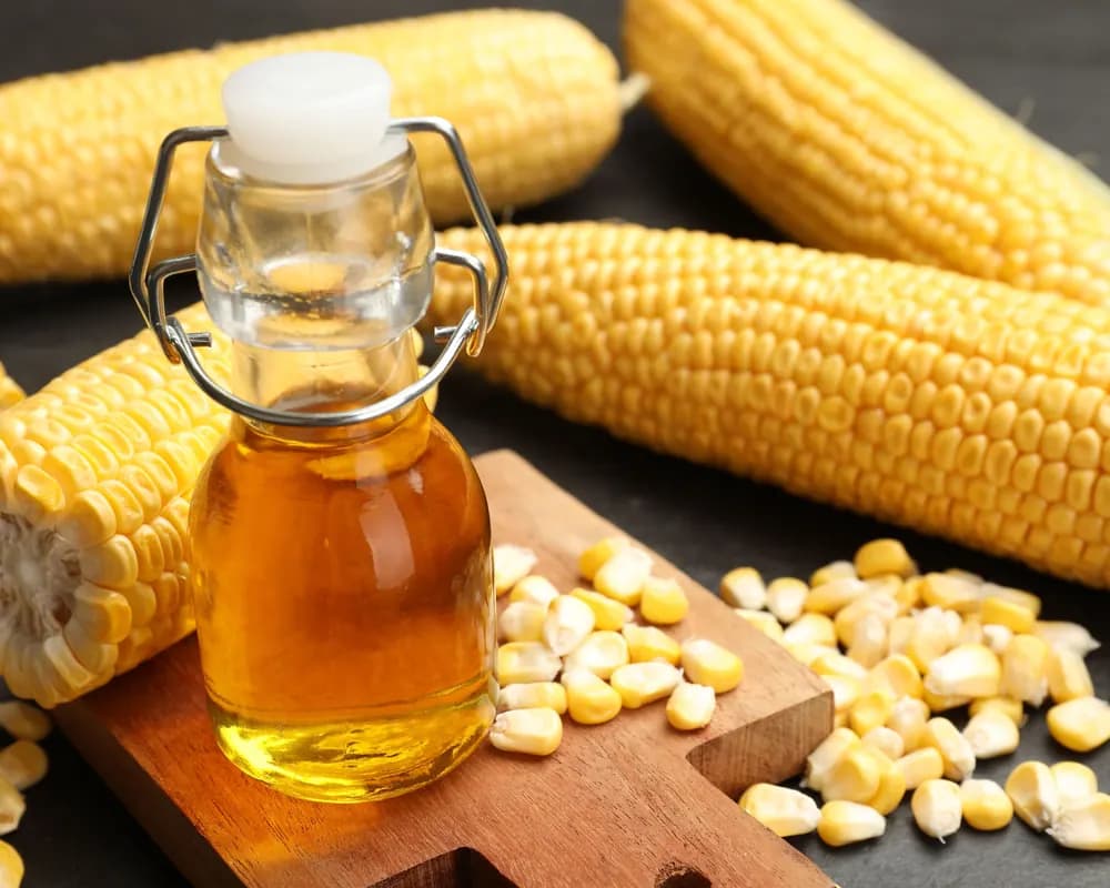 Corn oil bottle with fresh corn cobs