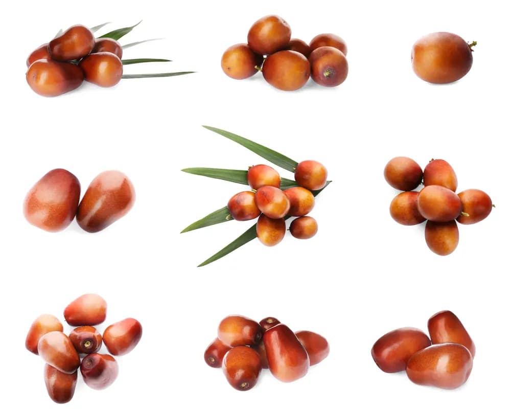 Fresh palm fruit