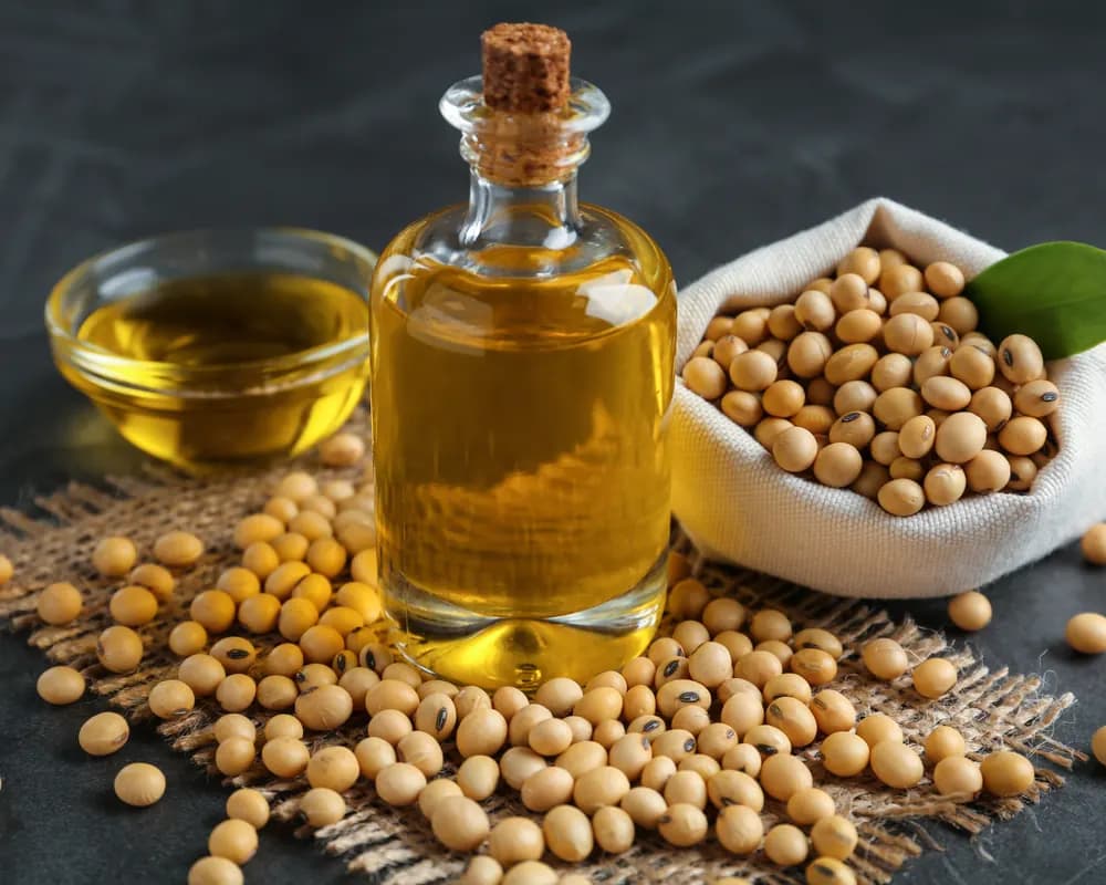 Soybean oil bottle with soybeans