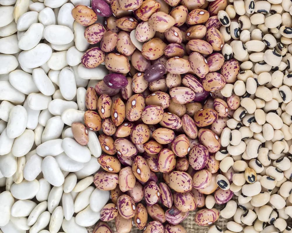 Colourful mix of dry beans and pulses