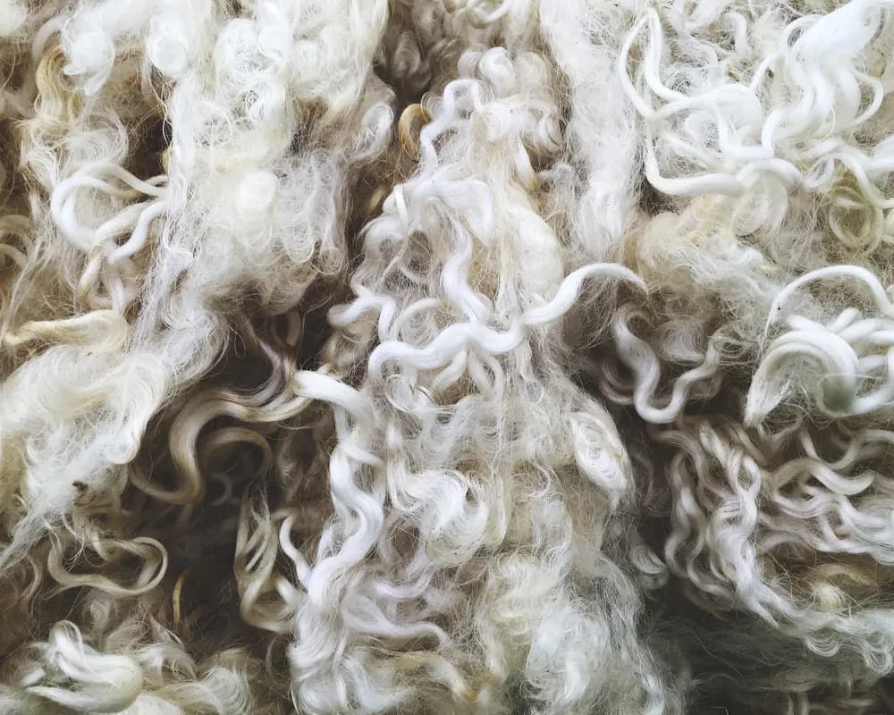 Close-up of natural wool fibre